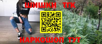 гашик Нарткала