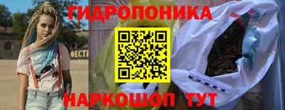 гашик Нарткала