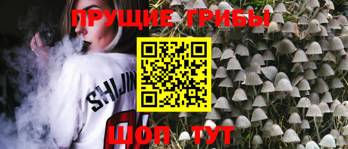 Псилоцибиновые грибы мухоморы  Галлюциногенные грибы ЛСД  Солнечногорск  Вход с VPN 