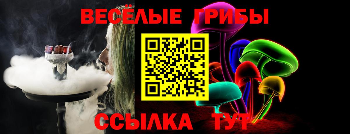 Псилоцибиновые грибы Cubensis Солнечногорск